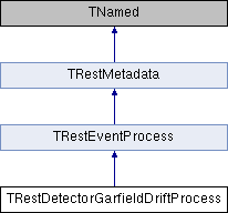 REST-for-Physics: TRestDetectorGarfieldDriftProcess Class Reference